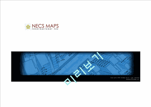 [사업계획서] NecsMap GIS Service   (1 )